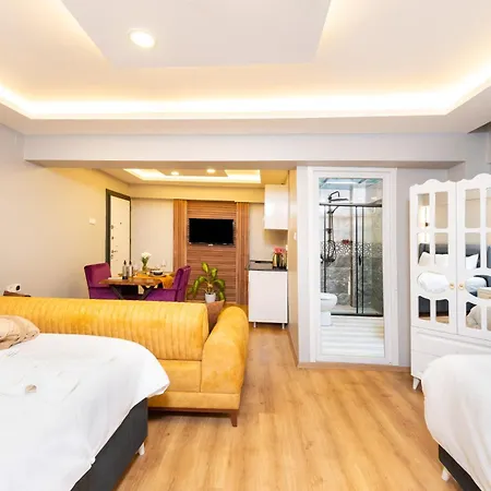 Blue House Old * İstanbul