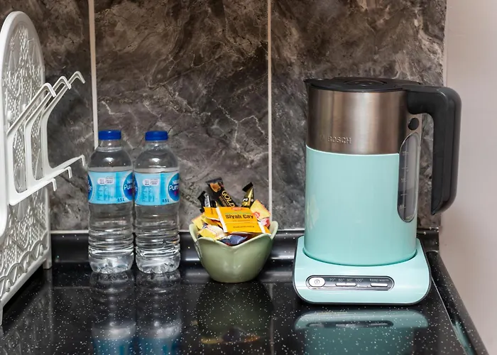 公寓式酒店 Blue House Old