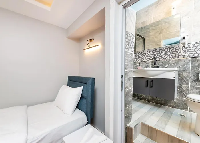 Blue House Old * 伊斯坦布尔