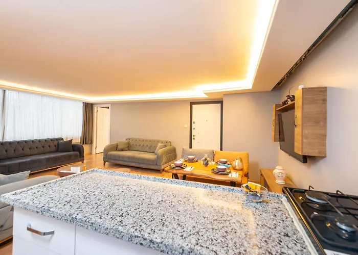 Blue House Old 伊斯坦布尔