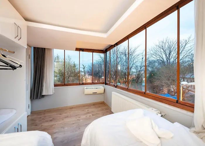 Blue House Old * 伊斯坦布尔