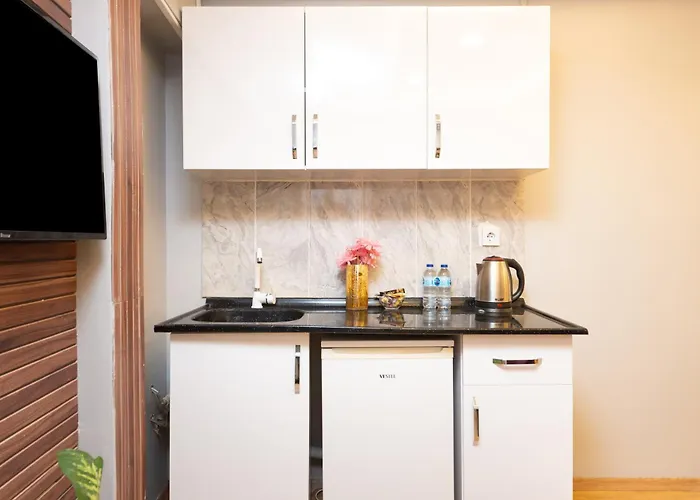 Blue House Old 伊斯坦布尔