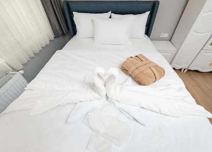 Blue House Old * 伊斯坦布尔